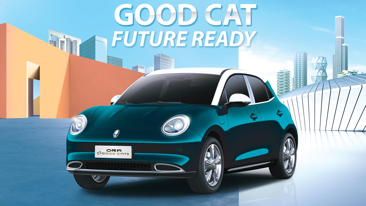 ORA Good Cat