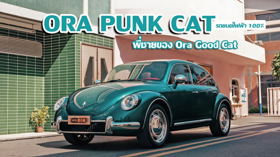 Ora Punk Cat